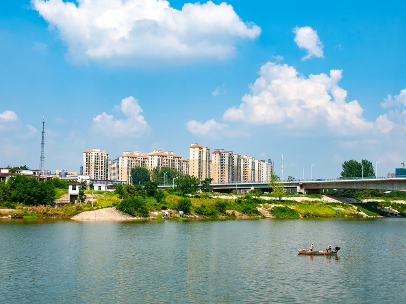界首试管婴儿替代方案指南封面图