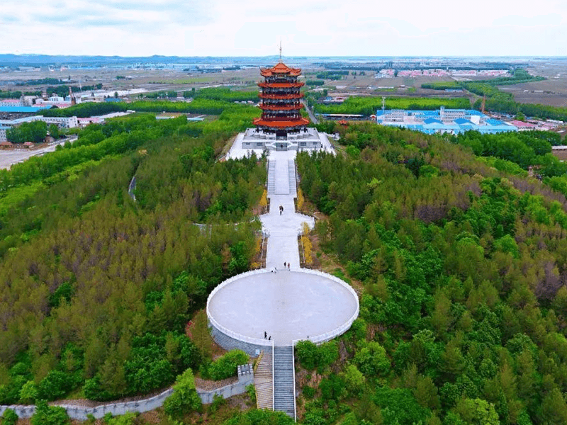 马鞍山试管婴儿替代方案指南封面图