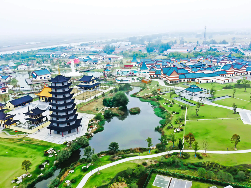 天长试管婴儿替代方案指南封面图