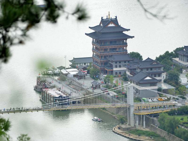桐城试管婴儿替代方案指南封面图