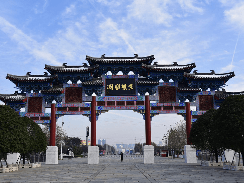 阜阳试管婴儿替代方案指南封面图