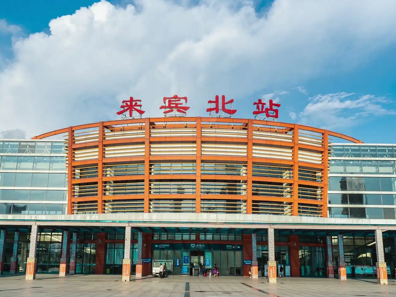 来宾试管婴儿替代方案指南封面图