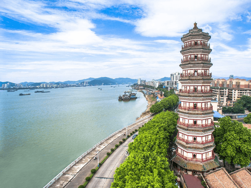 肇庆试管婴儿替代方案指南封面图
