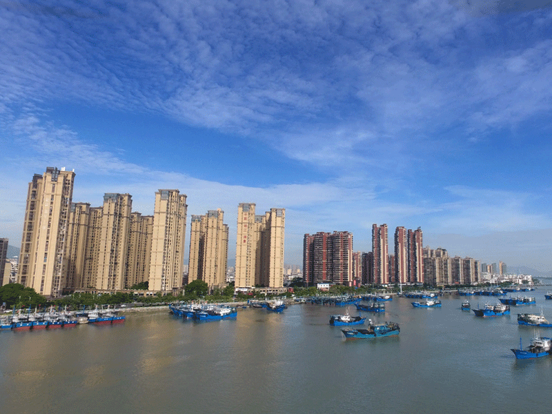 龙海试管婴儿替代方案指南封面图