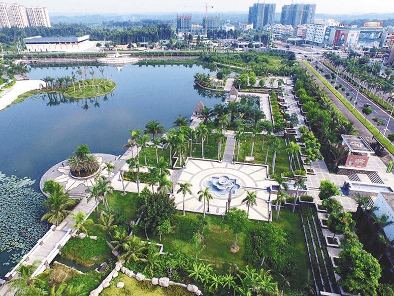 儋州试管婴儿替代方案指南封面图