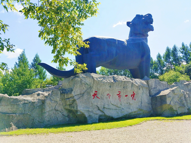 虎林试管婴儿替代方案指南封面图