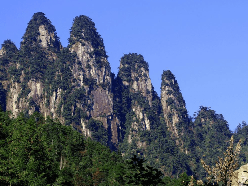 五指山试管婴儿替代方案指南封面图