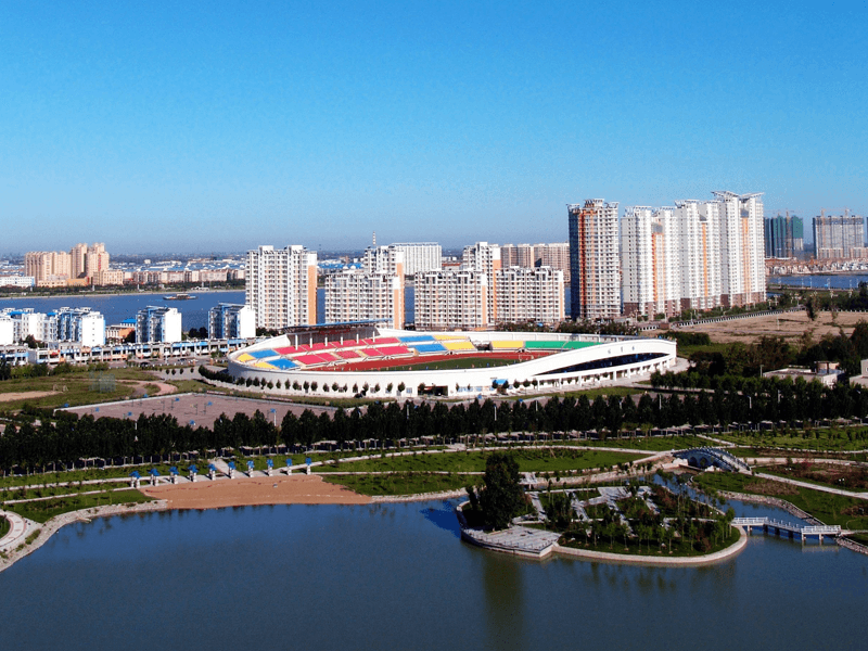 大庆试管婴儿替代方案指南封面图