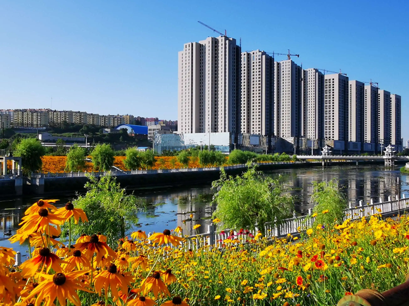 双鸭山试管婴儿替代方案指南封面图