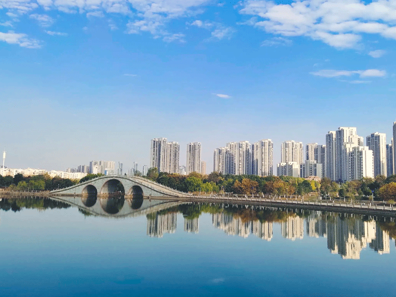 丰城试管婴儿替代方案指南封面图