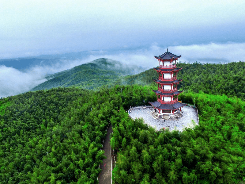 耒阳试管婴儿替代方案指南封面图