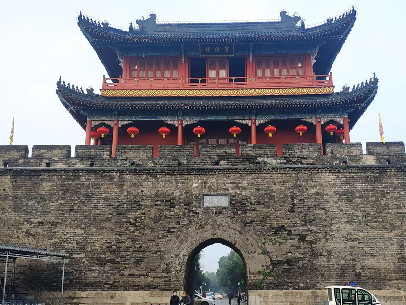 荆州试管婴儿替代方案指南封面图