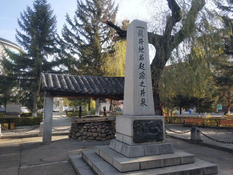 龙井试管婴儿替代方案指南封面图