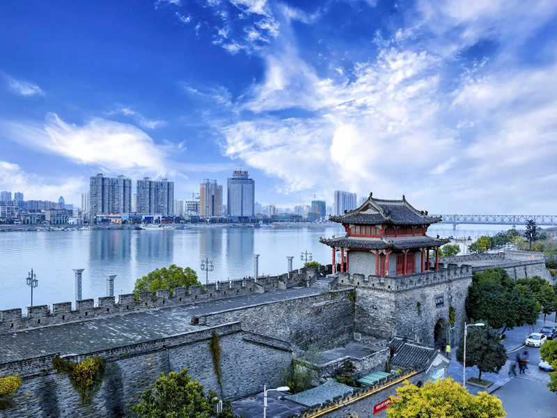 襄阳试管婴儿替代方案指南封面图