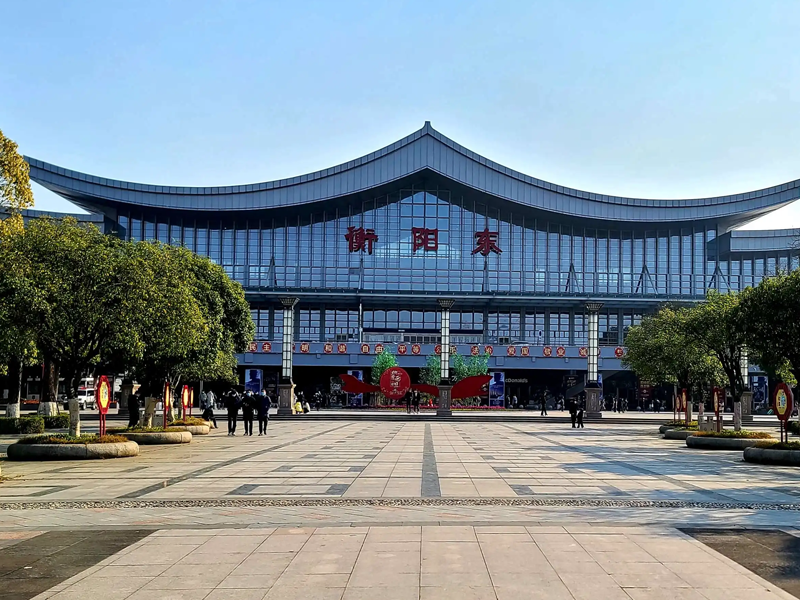 衡阳试管婴儿替代方案指南封面图