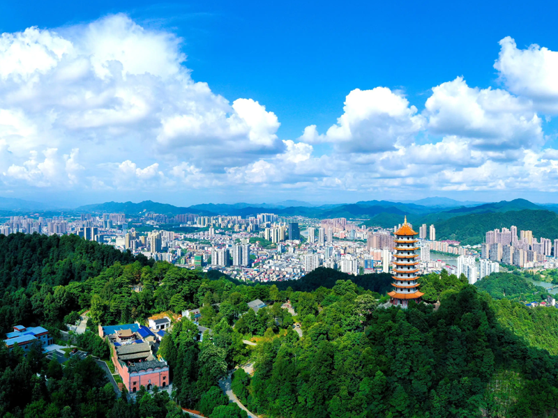浏阳试管婴儿替代方案指南封面图