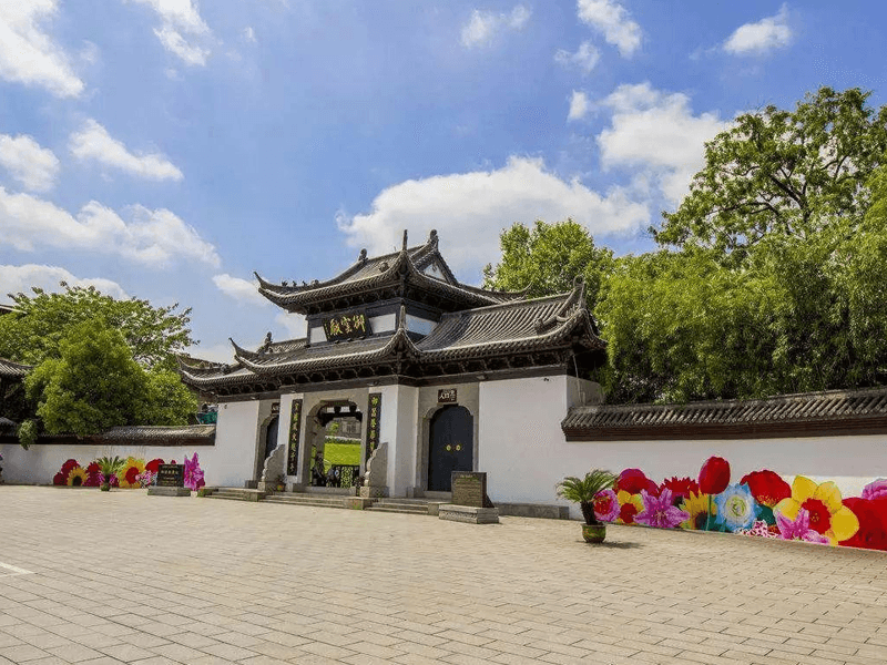 乐平试管婴儿替代方案指南封面图