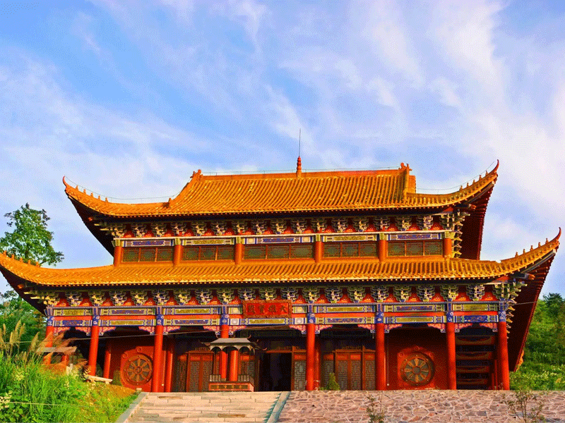 临湘试管婴儿替代方案指南封面图