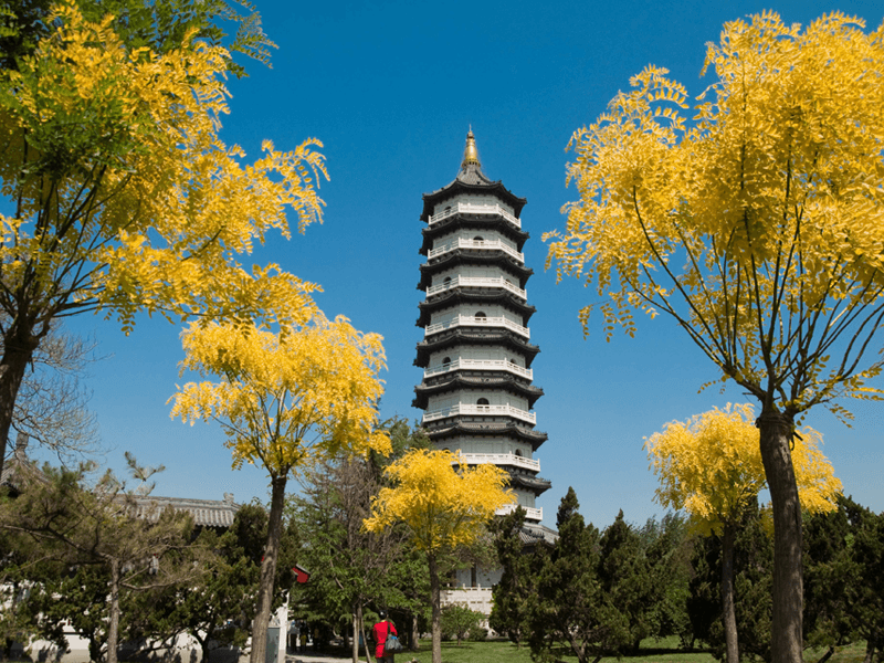 北宁试管婴儿替代方案指南封面图