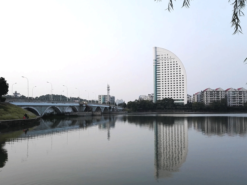 鄂州试管婴儿替代方案指南封面图
