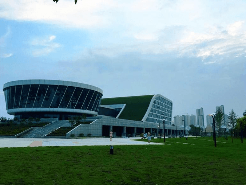 天门试管婴儿替代方案指南封面图