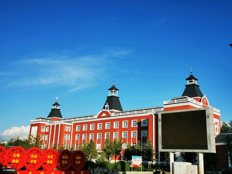 额尔古纳试管婴儿替代方案指南封面图