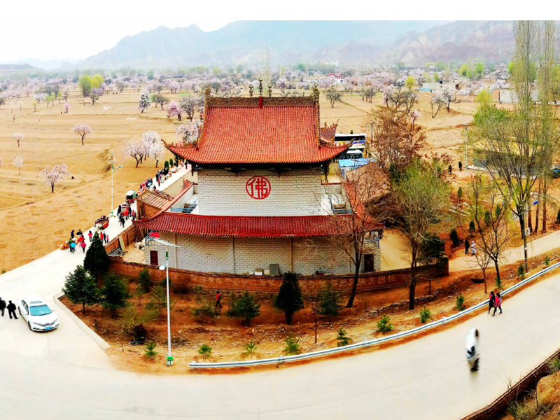 东乡县试管婴儿替代方案指南封面图
