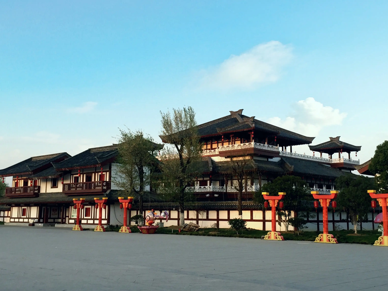 枣阳试管婴儿替代方案指南封面图