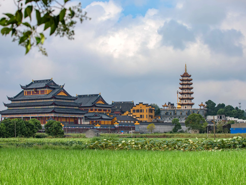 安陆试管婴儿替代方案指南封面图