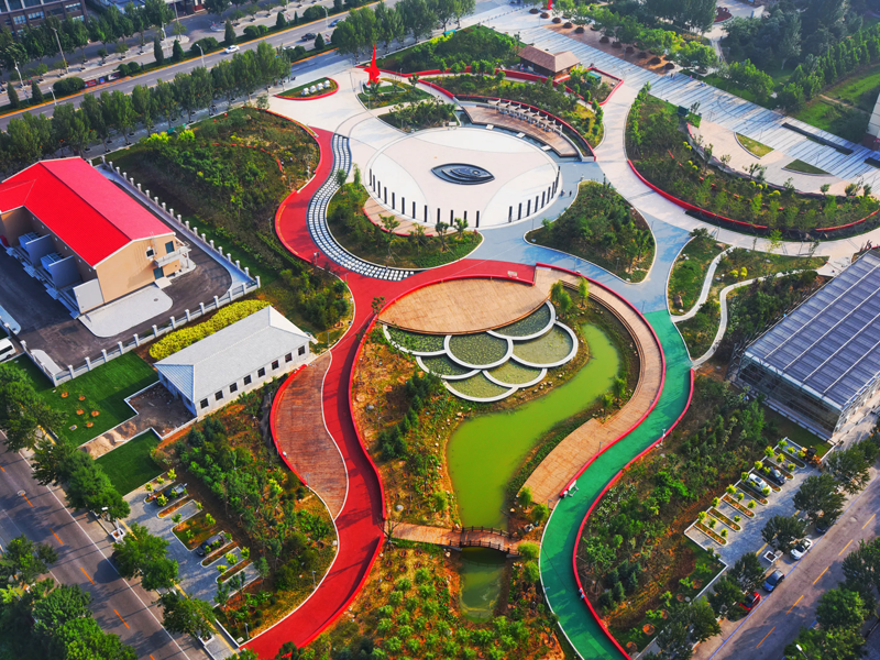 盘锦试管婴儿替代方案指南封面图