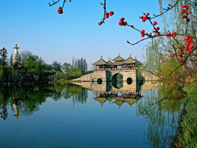 扬州试管婴儿替代方案指南封面图