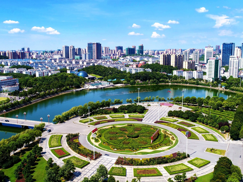 咸宁试管婴儿替代方案指南封面图