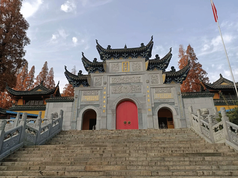武穴试管婴儿替代方案指南封面图