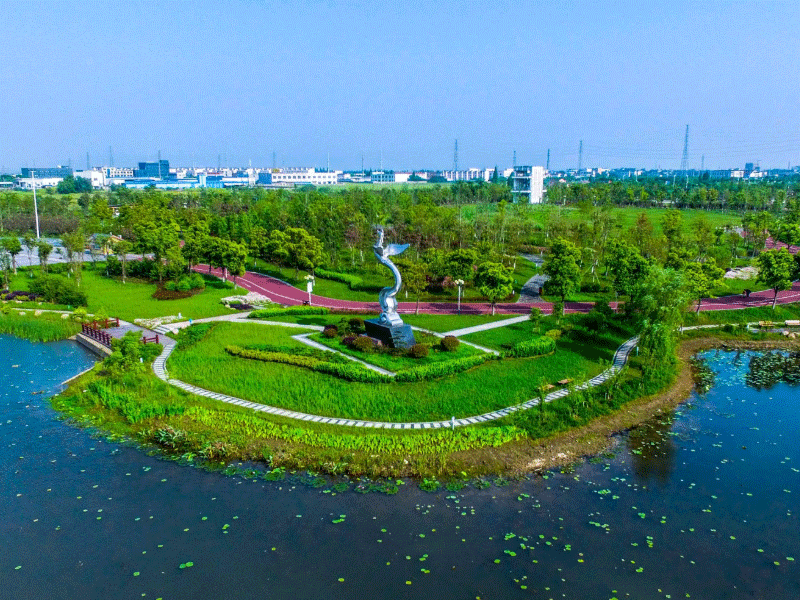 丹阳试管婴儿替代方案指南封面图