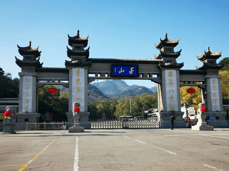 鞍山试管婴儿替代方案指南封面图