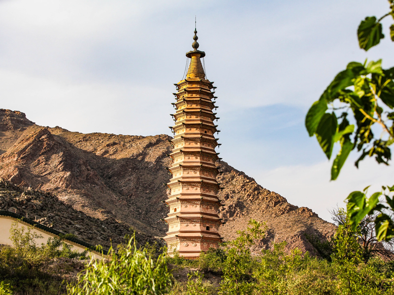 石嘴山试管婴儿替代方案指南封面图