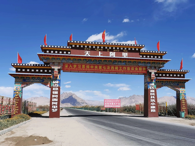 阿里地区试管婴儿替代方案指南封面图