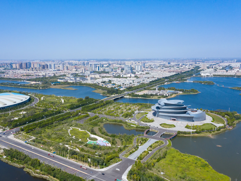 东营试管婴儿替代方案指南封面图