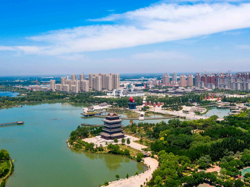 乐陵试管婴儿替代方案指南封面图