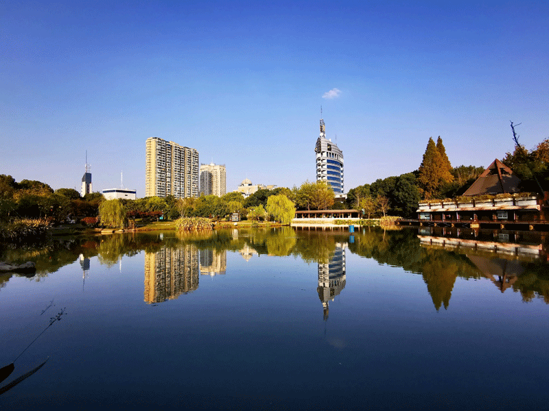 兰溪试管婴儿替代方案指南封面图
