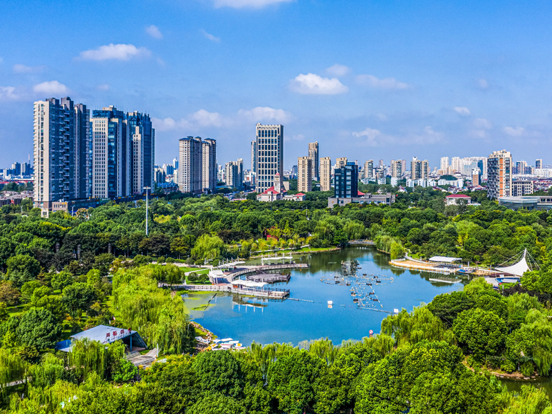 嘉兴试管婴儿替代方案指南封面图