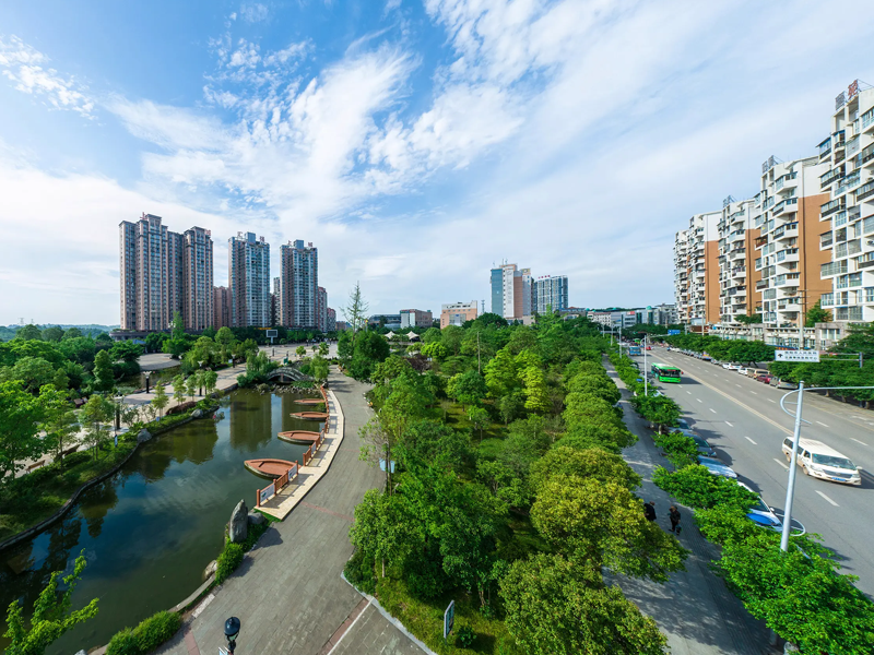 简阳试管婴儿替代方案指南封面图