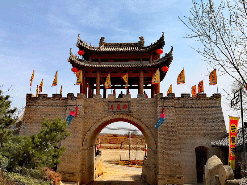 兴平试管婴儿替代方案指南封面图