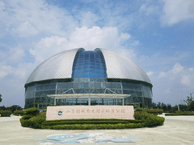 诸城试管婴儿替代方案指南封面图