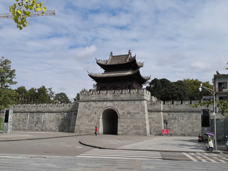 阆中试管婴儿替代方案指南封面图