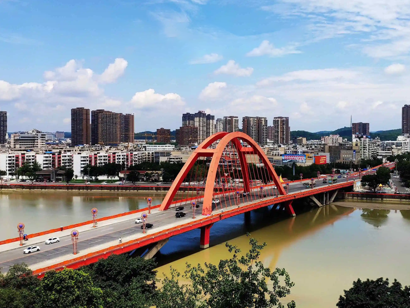 德阳试管婴儿替代方案指南封面图