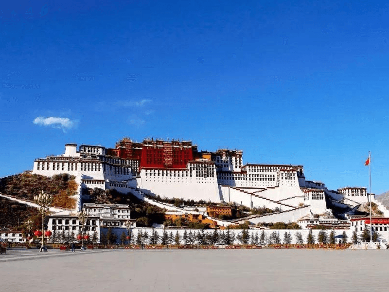 拉萨试管婴儿替代方案指南封面图