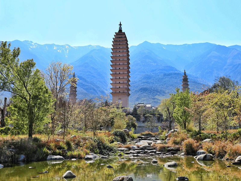 大理试管婴儿替代方案指南封面图