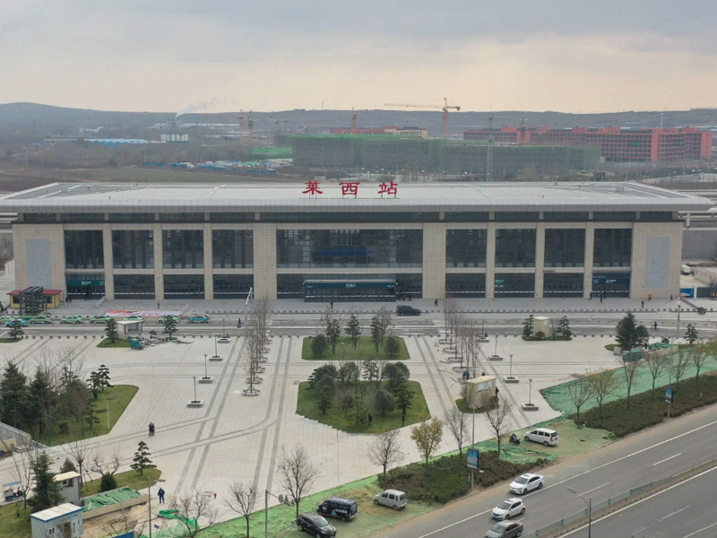 莱西试管婴儿替代方案指南封面图
