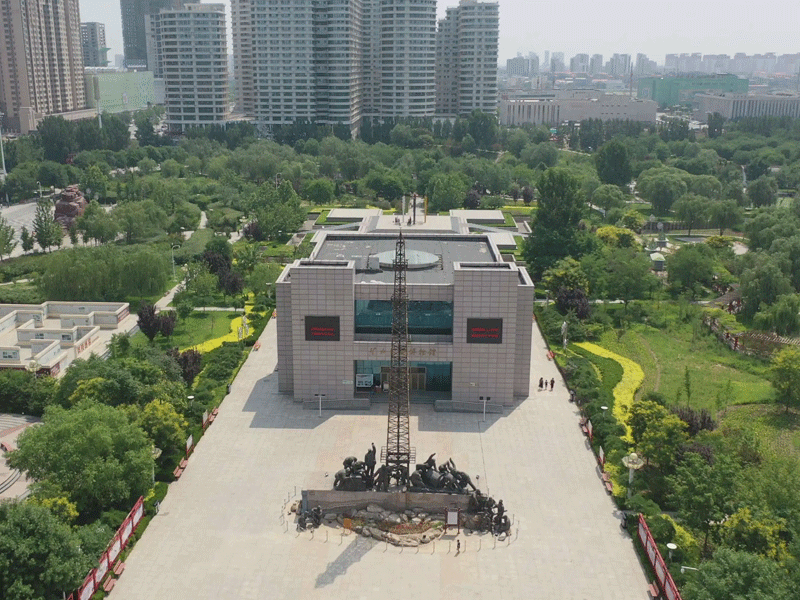 任丘试管婴儿替代方案指南封面图
